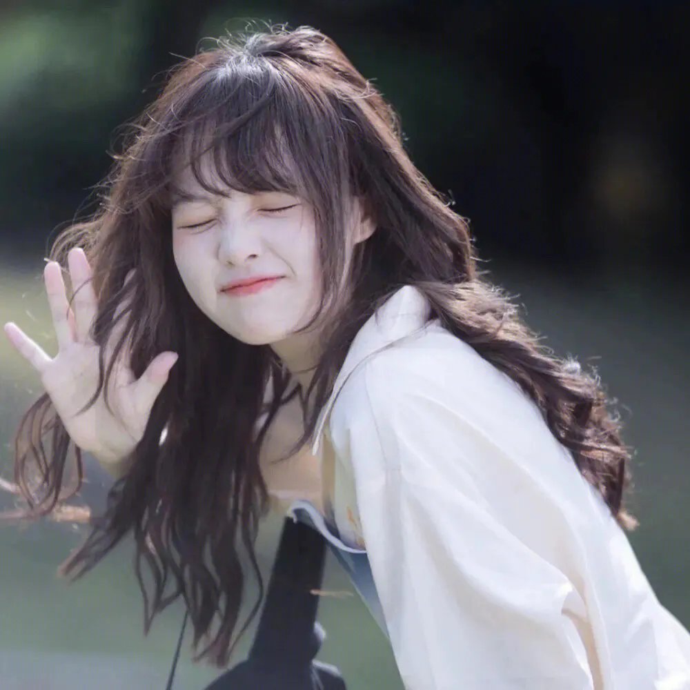 天降神犬2